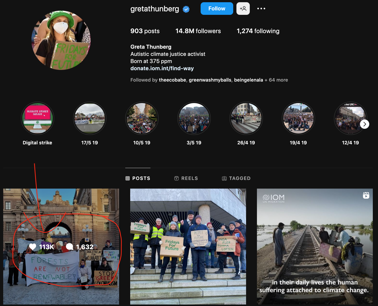 Environmental Influencer Greta Thunberg's Instagram engagement rate